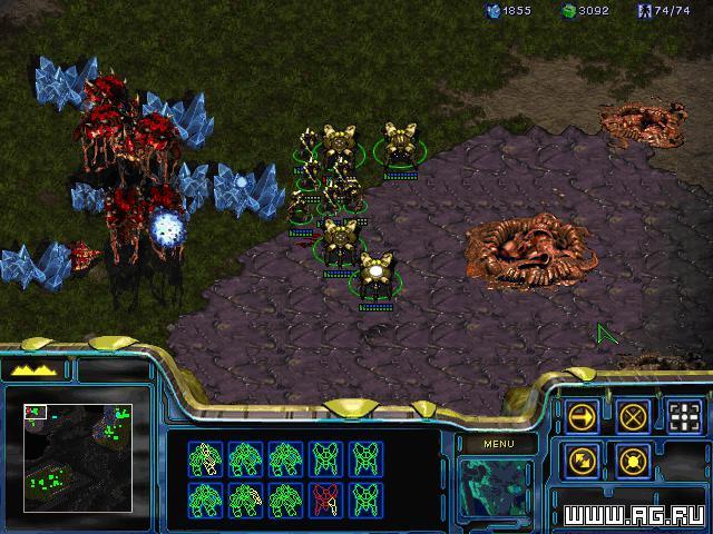 StarCraft screenshot 4