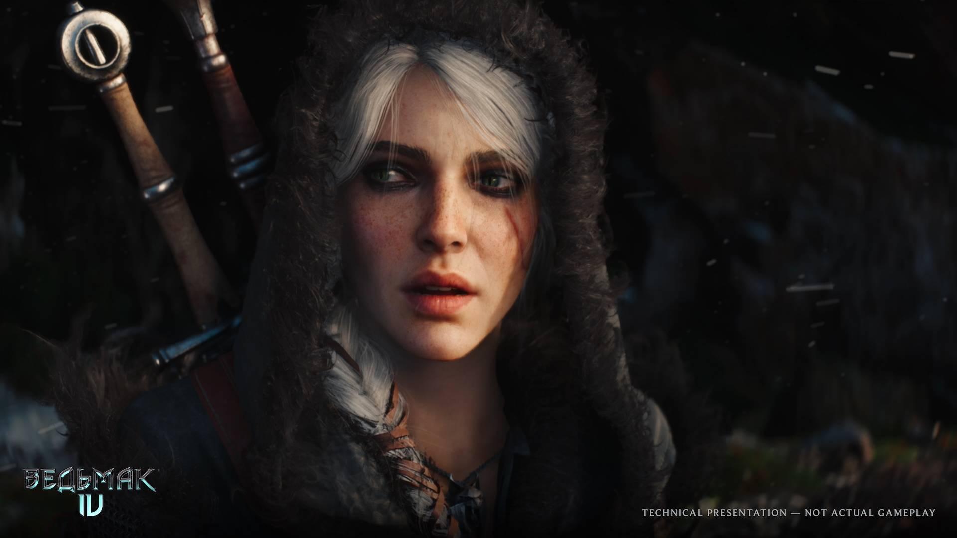 The Witcher (A New Saga Begins) screenshot 3