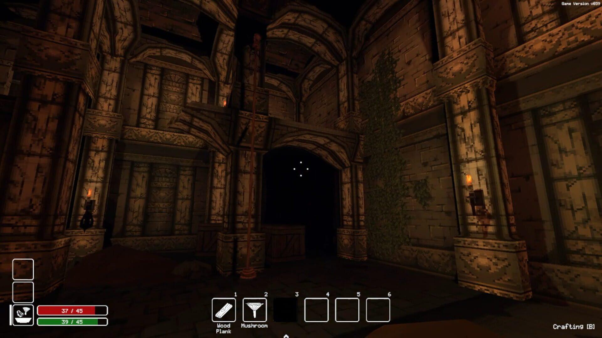 Deep Dish Dungeon screenshot 1