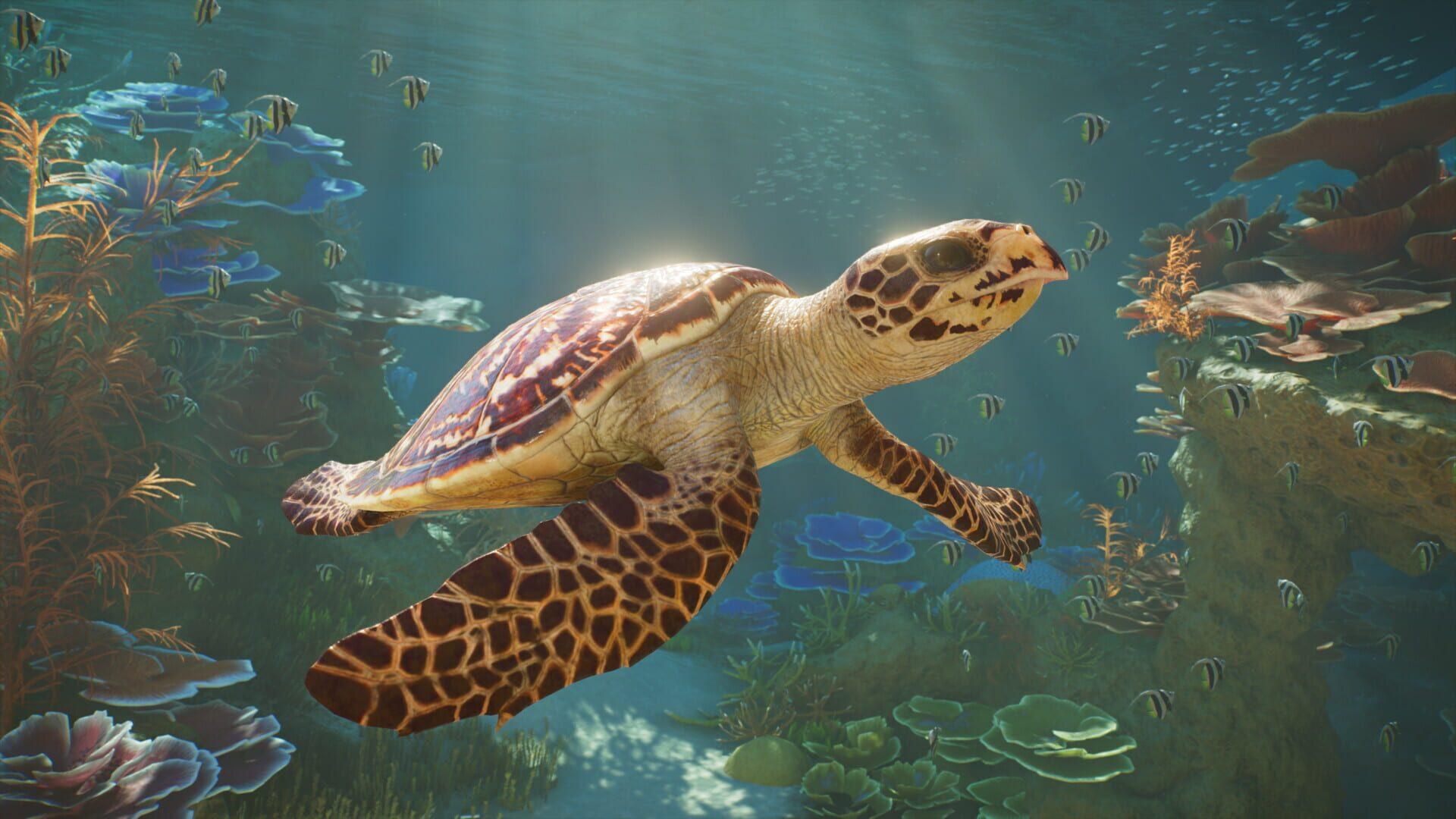 Planet Zoo 2 screenshot 3