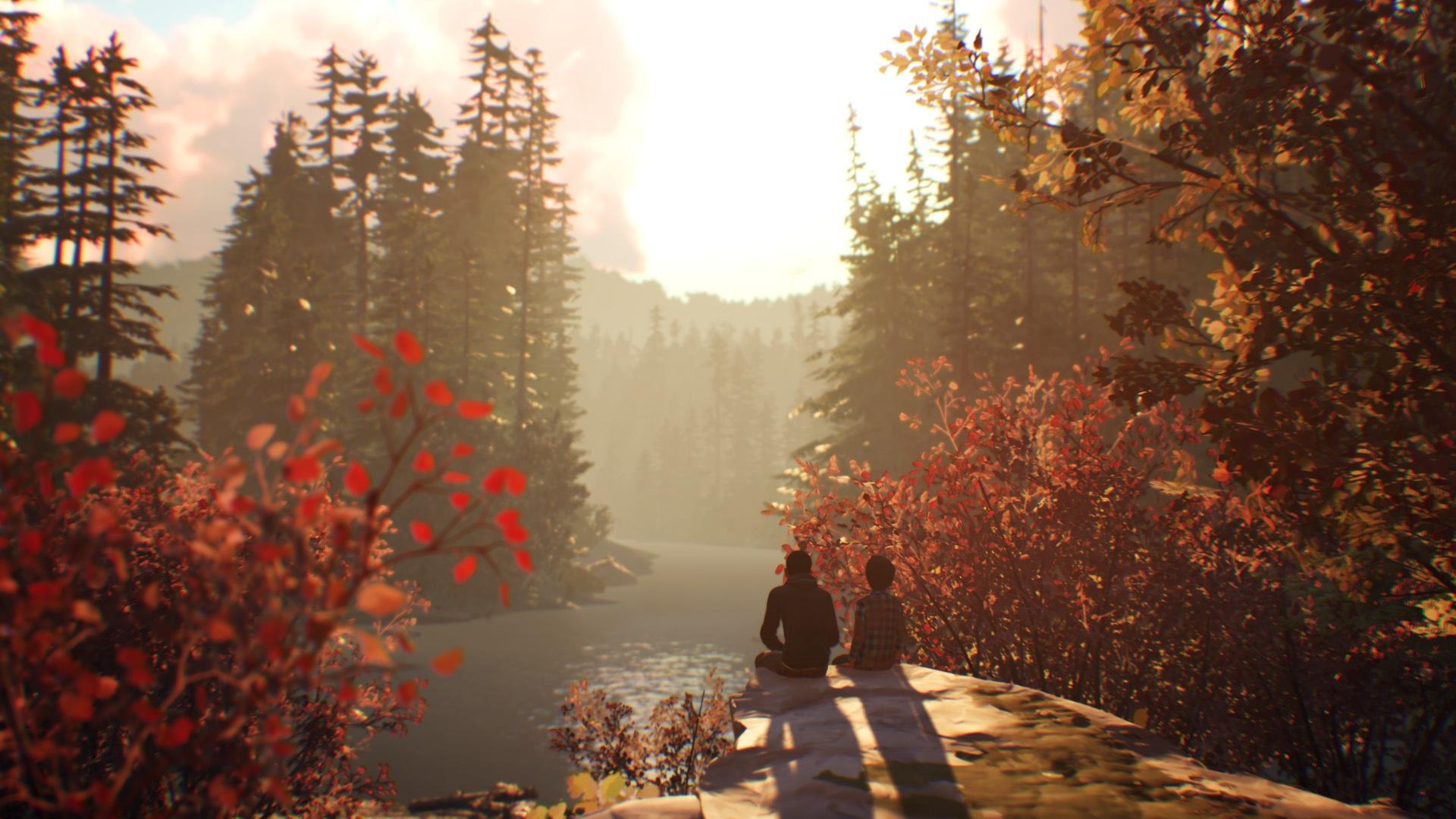 Life is Strange 2 screenshot 4