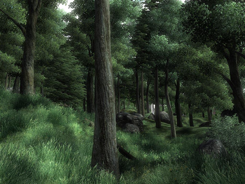 The Elder Scrolls IV: Oblivion screenshot 4