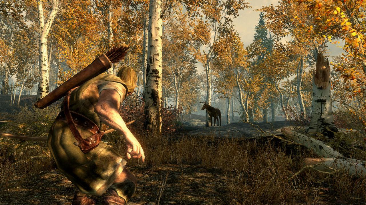 The Elder Scrolls V: Skyrim screenshot 6
